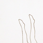 Legs