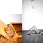 andrea_goldman_accident