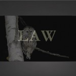 andrea_goldman_owl_law